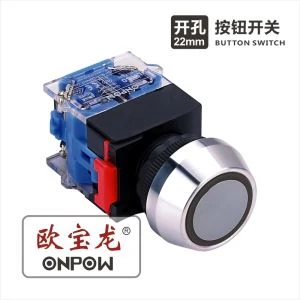 Light Up Push Button Switch
